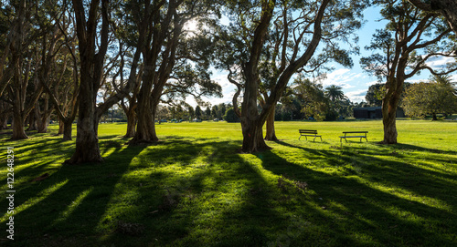 Beautiful park in Sydney Australia.