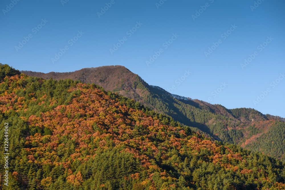 mountain landscape in autumn of Kawaguchiko