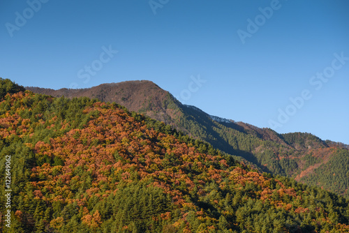 mountain landscape in autumn of Kawaguchiko © zephyr_p