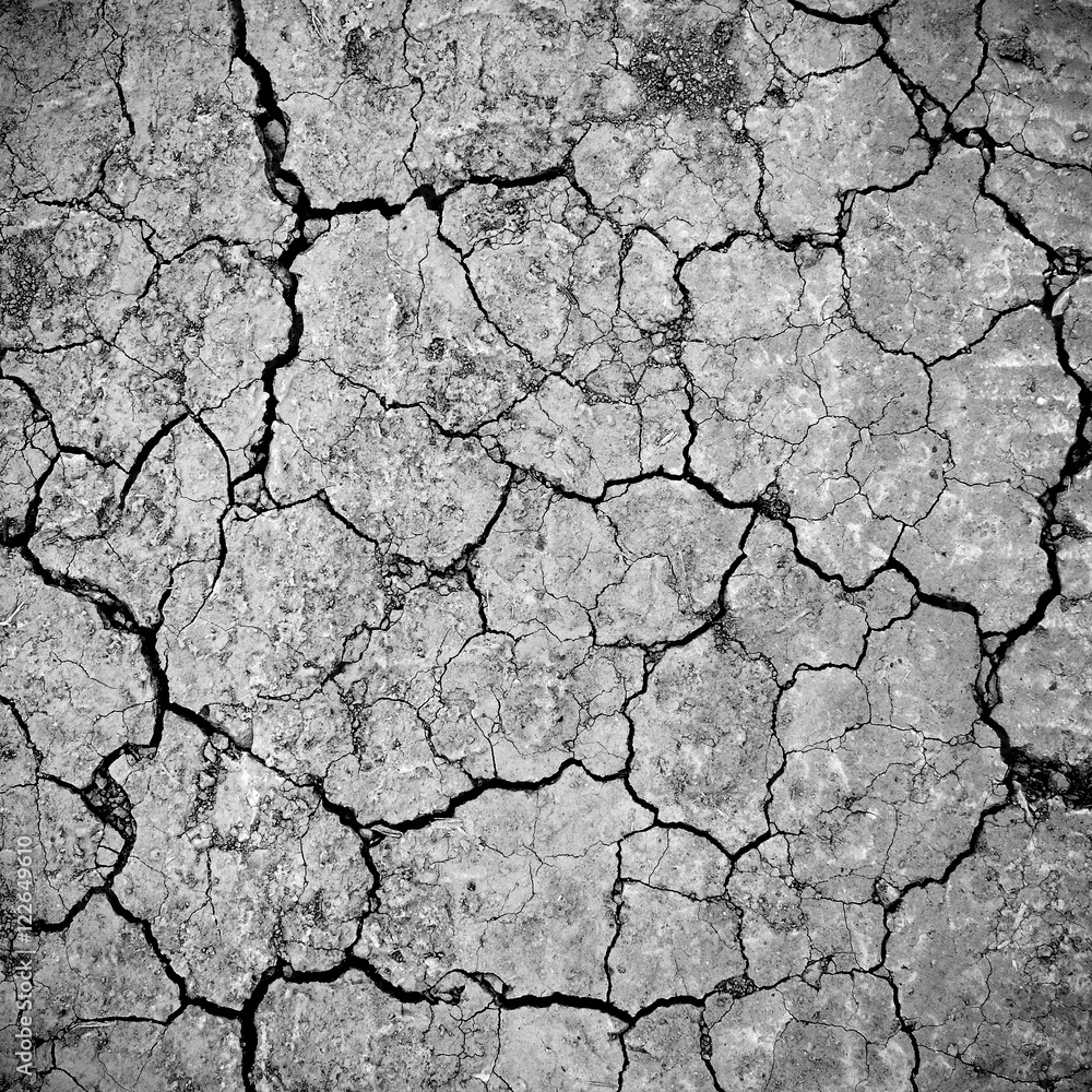 Fototapeta premium Black and white dry land