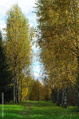 Colorful autumn landscape.Nature background. Marfino, Moscow Region, Russia.