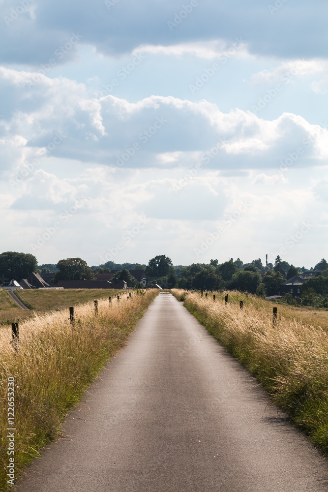 Fototapeta premium Weg durch Kornfeld