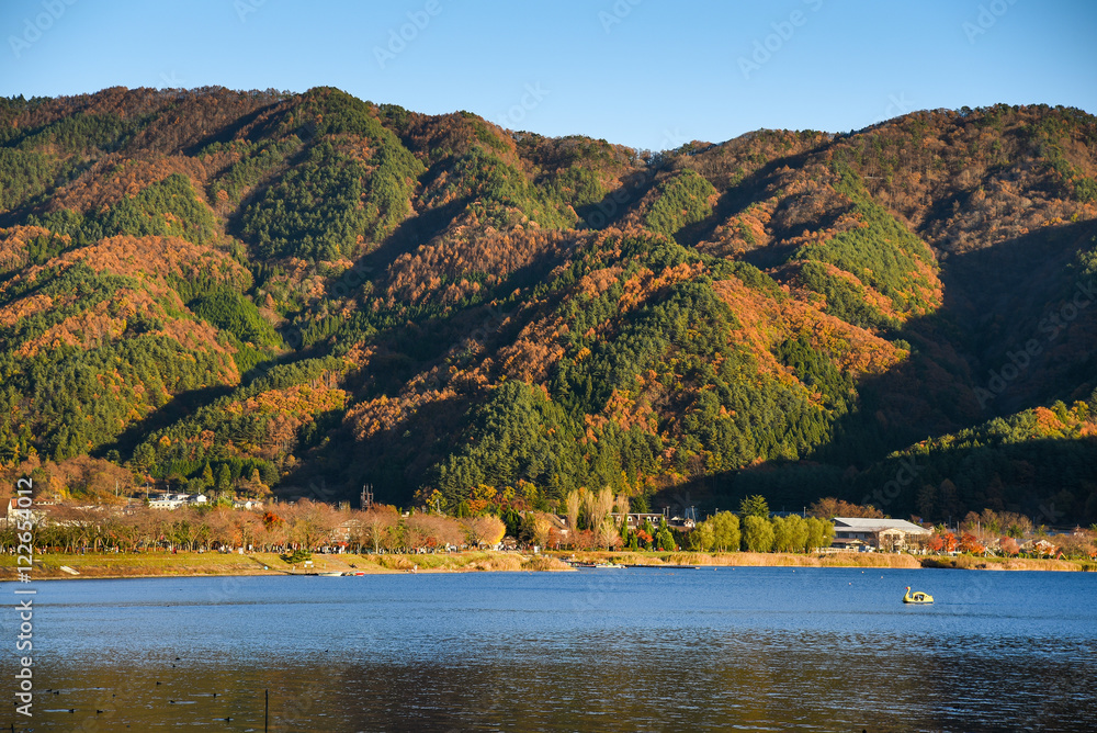 mountain landscape in autumn of Kawaguchiko