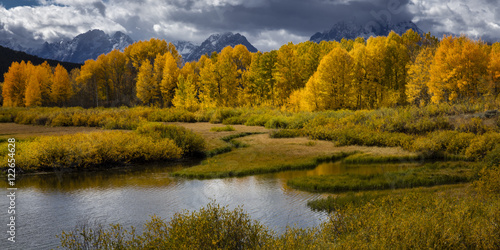 "Wyoming Wonder" In between the Grand Tetons and Yellowstone National Park you will find Moose, Wyoming. The fall colors were in full bloom on this chilly September day. 