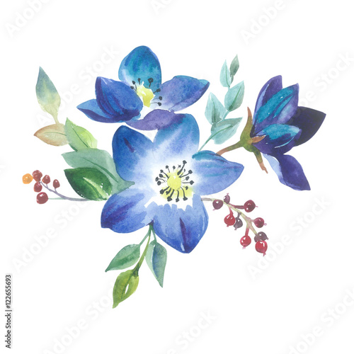Wildflower forgetmenot flower in a watercolor style isolated. Full name of the plant  forgetmenot  myosotis. Aquarelle flower could be used for background  texture  wrapper pattern  frame or border.