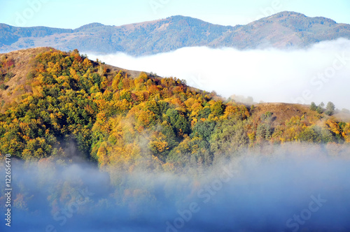Fototapeta Naklejka Na Ścianę i Meble -  Foggy autumn landscape