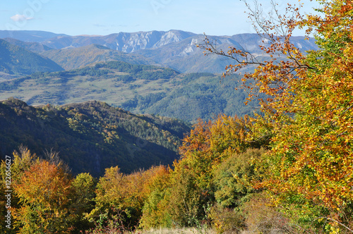 Mountain autumn landscape with colorful forest