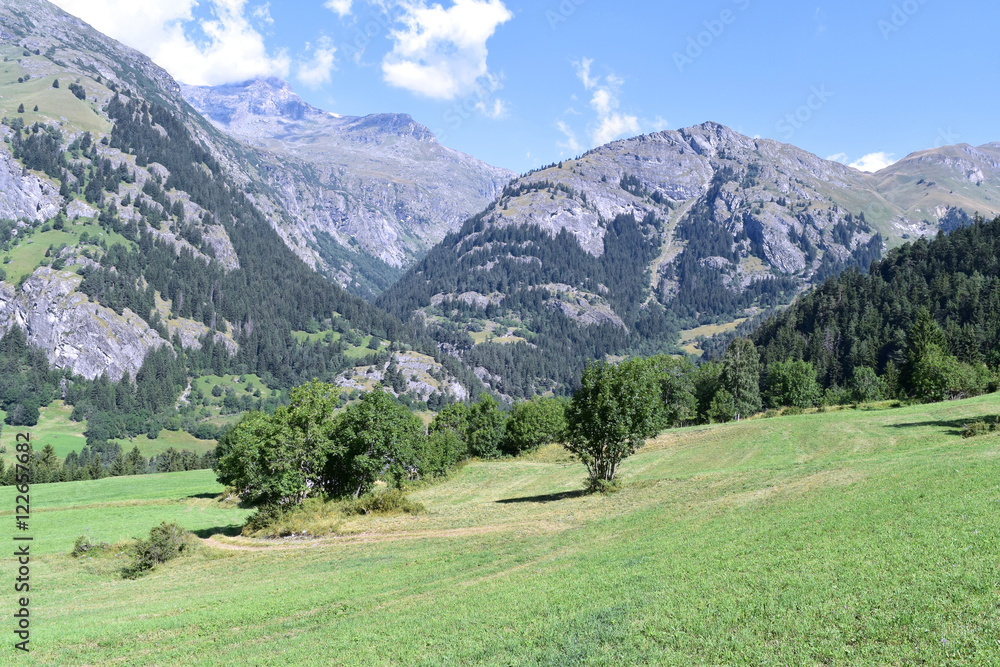 A lawn in the Vanoise National Park, France