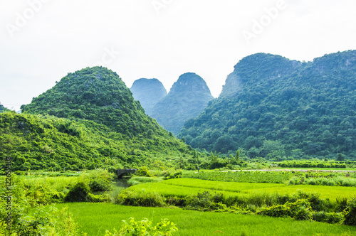 The karst mountains and rural scenery in summer