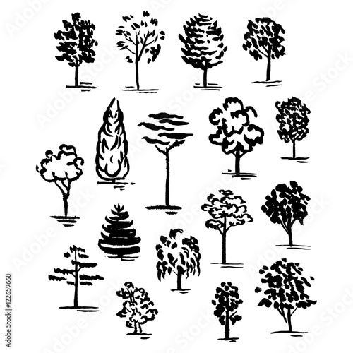 Set of hand drawn of trees. Ink style.