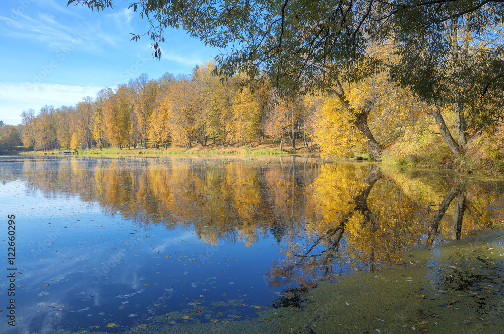 Autumn landscape.