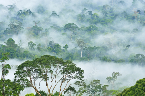 Fogs and mist over dipterocarp rain forest in Danum Valley Conservation Area in Lahad Datu, Sabah Borneo, Malaysia.