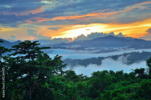 Obraz Wschód słońca nad dżunglą doliny Danum w Sabah Borneo, Malezja. Obszar ochrony doliny Danum to obszar o powierzchni 438 kilometrów kwadratowych z stosunkowo niezakłóconego nizinnego lasu dipterokarpowego.