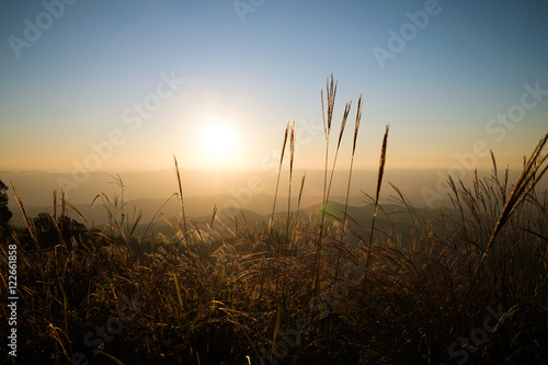 sunrise