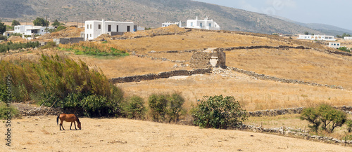 Panoramic view of a local village at Paros island in Greece with a horse eating hay. 