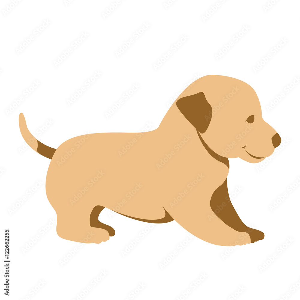puppy vector illustration style Flat puppy vector illustration style Flat