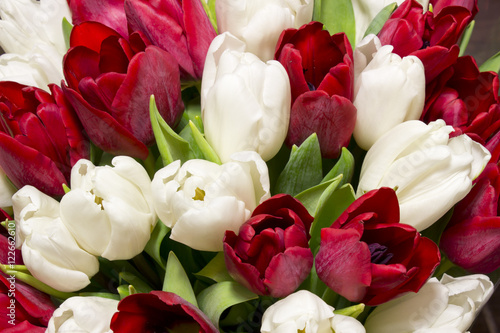 bouquet of red and white  tulips