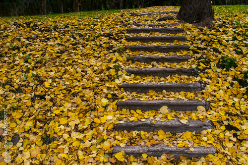 Old staircase bestrewn with yellow fallen leaves in the park photo
