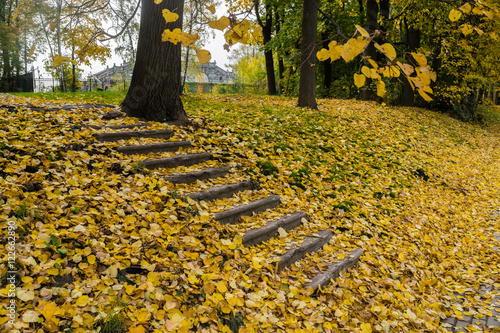 Old staircase bestrewn with yellow fallen leaves in the park