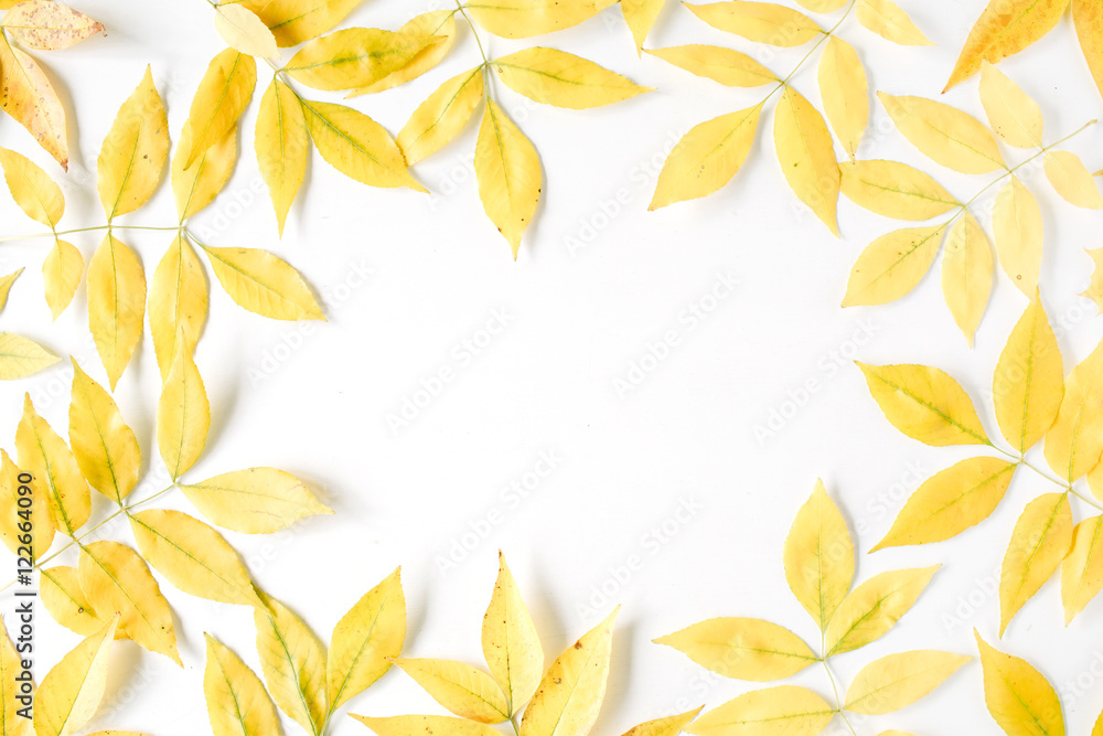 yellow fall autumn leaves. Autumn floral frame. flat lay, top view yellow fall autumn leaves. Autumn floral frame. flat lay, top view
