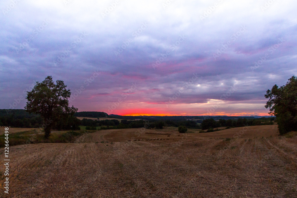 Naklejka premium Paysage 1