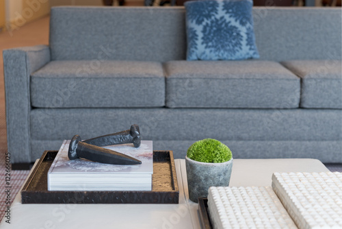Living room with grey sofa 