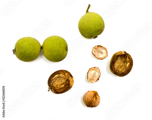 Fotografie Juglans nigra (eastern black walnut) on white background