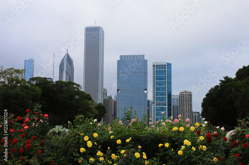 View of Chicago city center with flowers in front