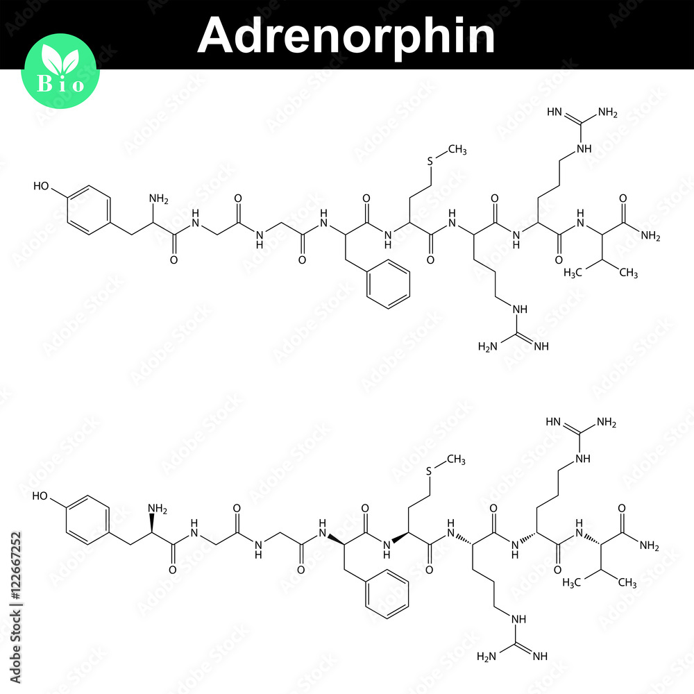 Adrenorphin molecular structure Adrenorphin molecular structure
