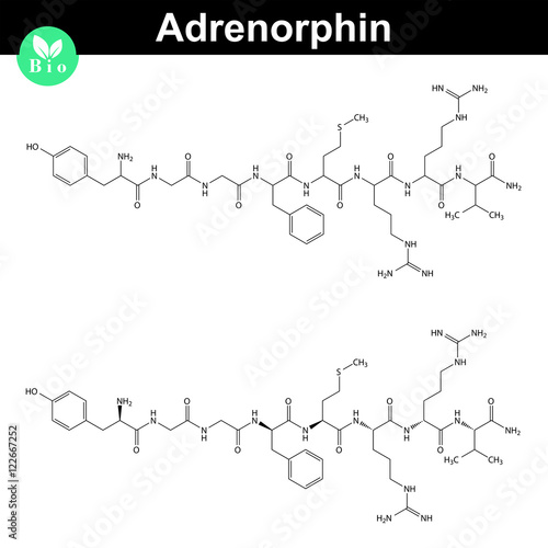 Adrenorphin molecular structure