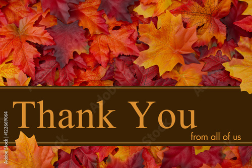 Cuadro en lienzo Thank You message