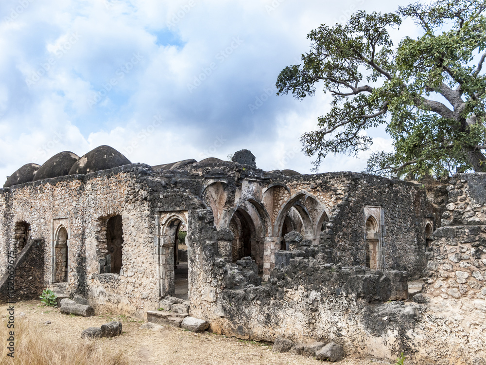 old mosque ruins at Kilwa Kisivani