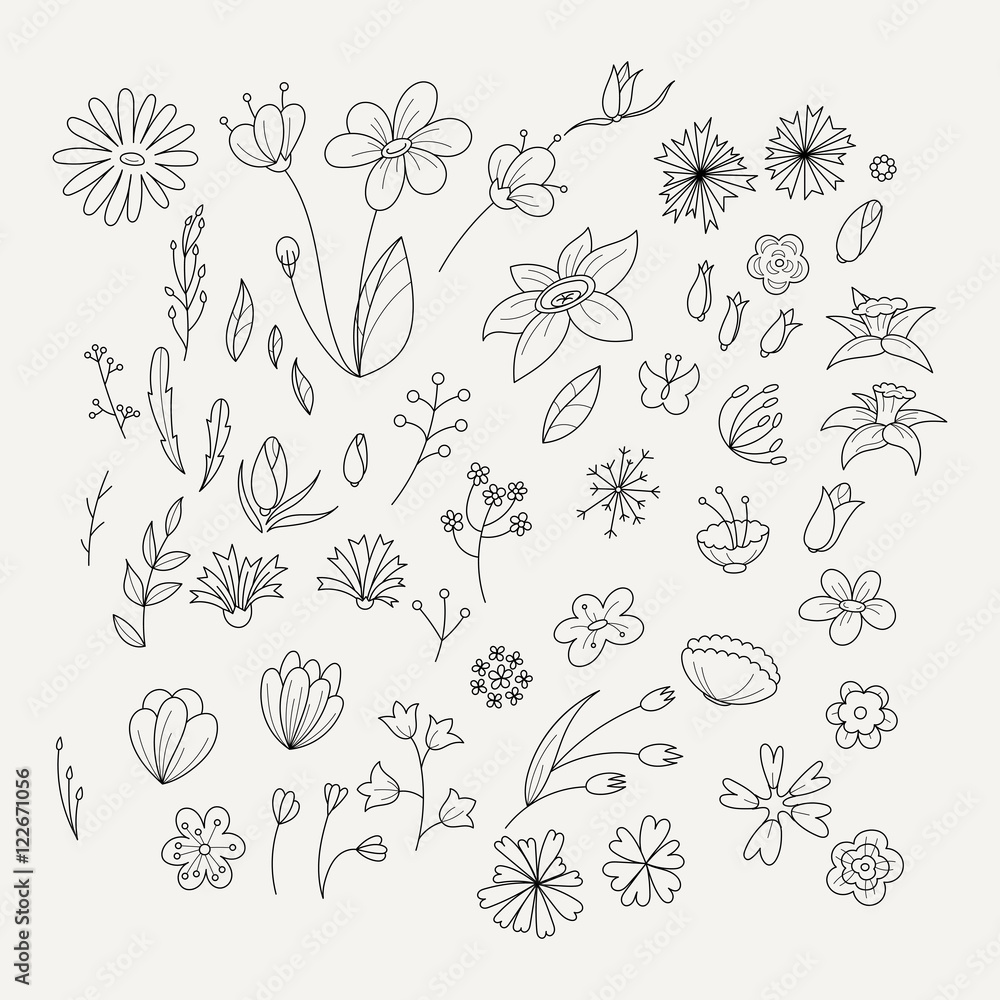 Doodle collection with various doodle flowers, leaves and branches. Doodle collection with various doodle flowers, leaves and branches.