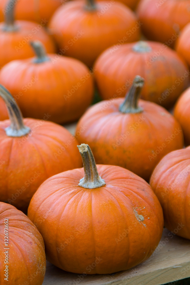 Pumpkins Pumpkins