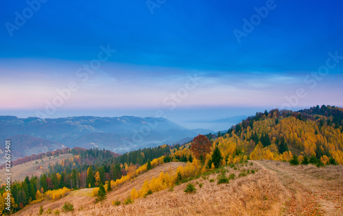 Yellow Beautiful Trees in the mountains
