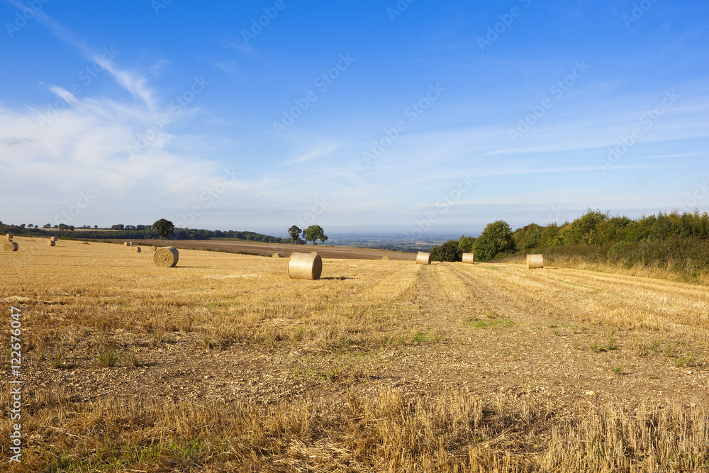 round straw bales