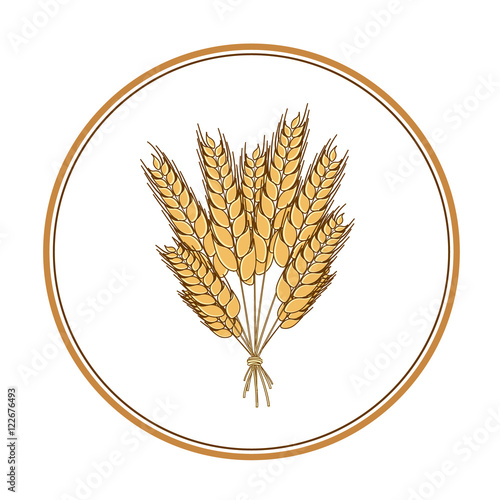 Wheat icon design element. Vector. Isolated illustration.