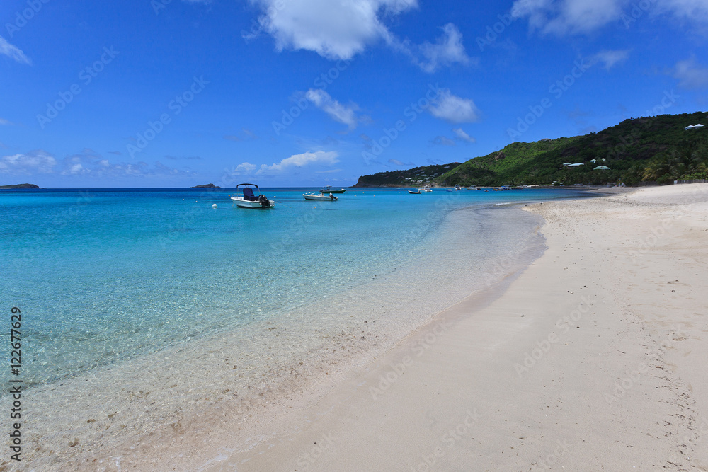 Fototapeta premium St Barth Beaches