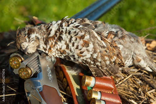 Photography Old gun and the hazel grouse