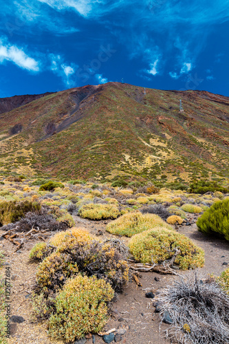 Volcanic landscape with sparse vegetation, Teide National park, Tenerife, Spain