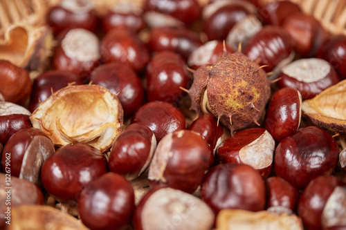 Chestnuts on a wooden table as autumn background