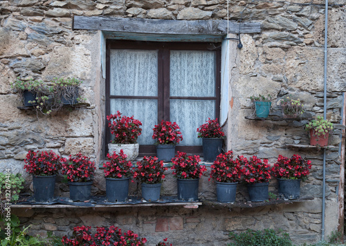 Fototapeta Naklejka Na Ścianę i Meble -  Spanish window containing geraniums in Beget, a medieval village in the Pyrenees, Catalonia, Spain