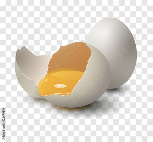 Realistic Egg on transparent background. Egg as food. Design template can use for menus, flyers for cafes, restaurants, fast food etc. Vector illustration