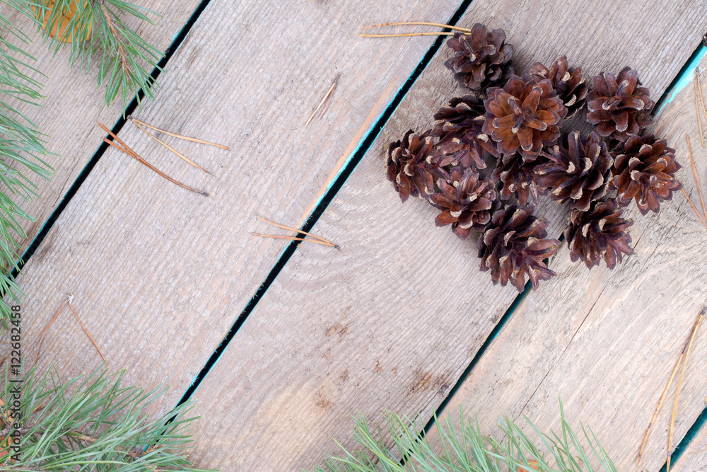 Wooden background with pine cones