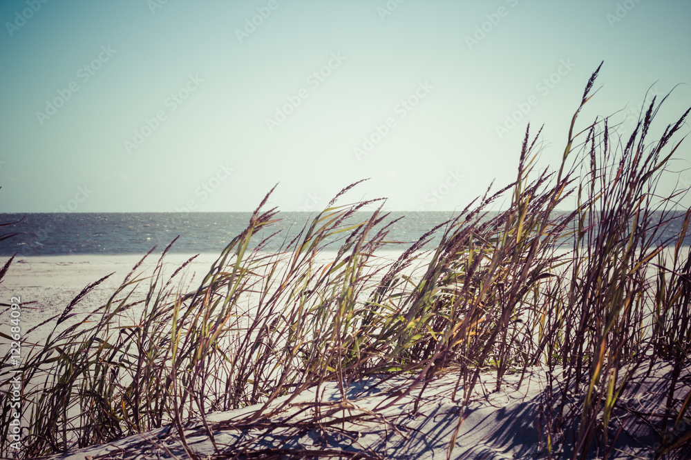 Fototapeta premium summer beach