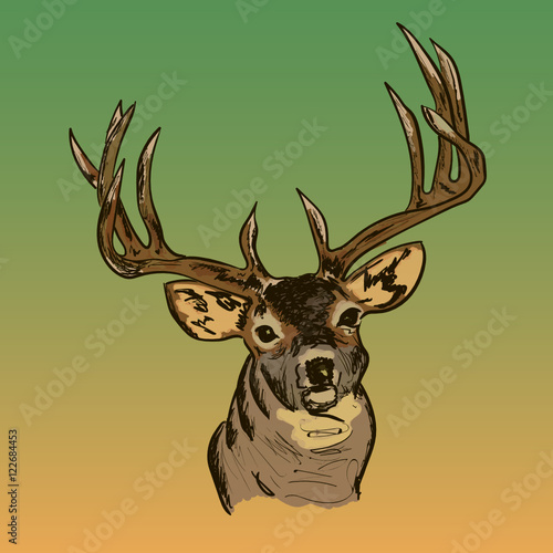Deer