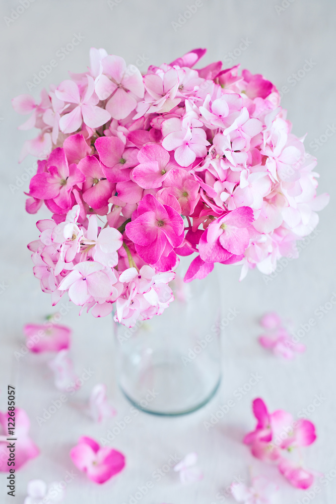 Beautiful pink hydrangea flowers in a vase on a table. Beautiful pink hydrangea flowers in a vase on a table.