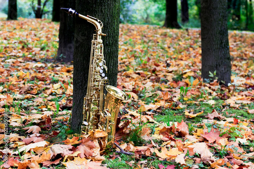 альт саксофон в осеннем парке