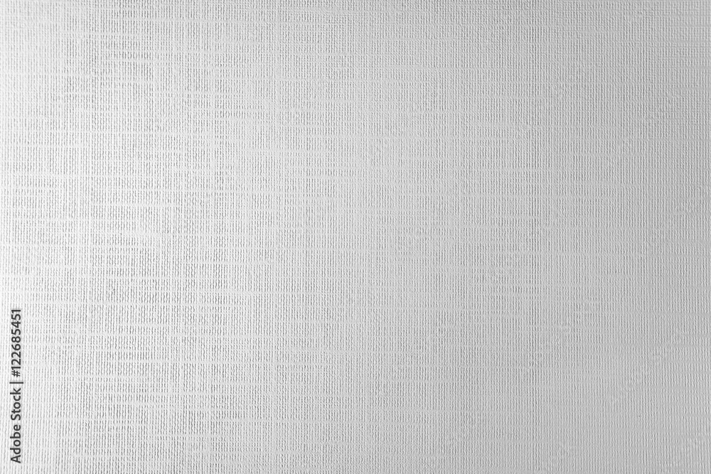 Paper texture background. Blank canvas Paper texture background. Blank canvas