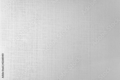 Paper texture background. Blank canvas